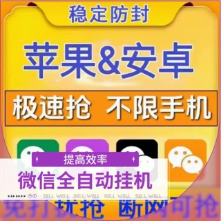 wx云端【金宝】辅助